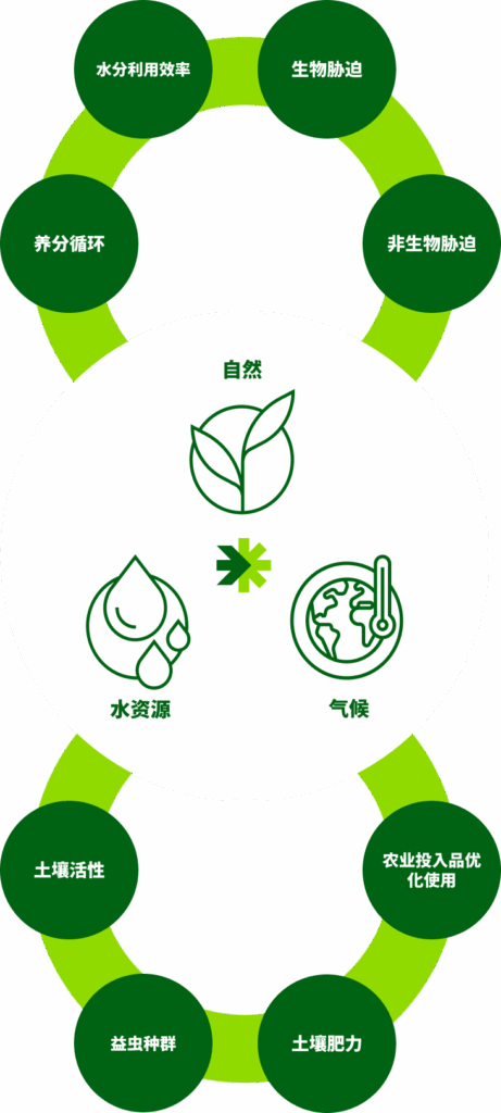 以可持续发展为基石